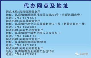 家門口的車管所 鳳崗5個郵政網點可代辦16項車駕管業務及貸款申報手續